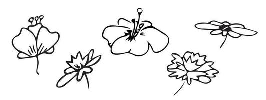 Set of simple vector flower doodle. Hand drawn outline icon. Floral illustration isolated on white background. For print, web, design, decor, logo.