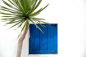 Traditional house Santorini with decorative plant and blue window photo