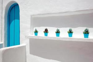 hermosa casa tradicional santorini exterior con planta decorativa foto