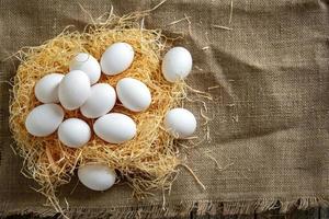 White chicken eggs in the straw nest on burlap cloth photo