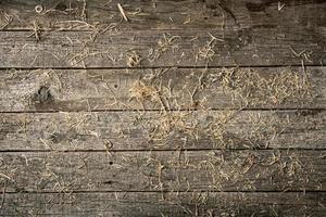 Wooden background with shabby boards covered with straw photo