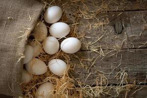 White chicken eggs rolled out of the burlap sack on wooden boards with straw photo