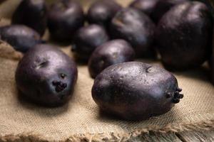 Raw violet vitelotte potatoes on wooden boards and burlap cloth photo