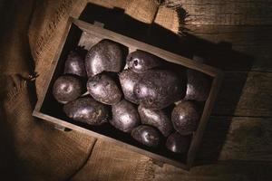 Raw vitelotte violet potatoes in the wooden box on the wooden table covered with burlap photo