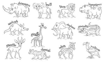 Large set of African animals. Funny animal characters in line style. vector