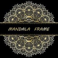 Mandala pattern design vector