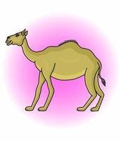 vector graphic illustration of a camel for design needs or products such as children's books and others. simple vector illustration.