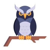 pájaro nocturno, icono plano de búho vector