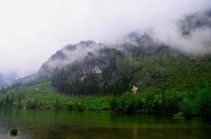 lake with trees and fog photo