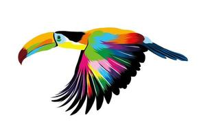 Abstract flying toucan, tropical bird from multicolored paints. Colored drawing. Vector illustration of paints