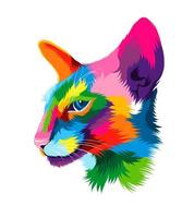 Abstract Oriental cat head portrait from multicolored paints. Colored drawing. Portrait of a muzzle of a kitten, muzzle of a cat. Vector illustration of paints