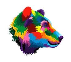 Abstract bear head portrait from multicolored paints. Colored drawing. Vector illustration of paints