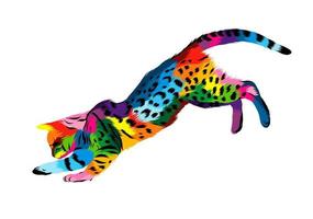 Abstract bengal cat playing from multicolored paints. Colored drawing. Vector illustration of paints