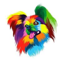 Abstract dog head portrait Continental Toy Spaniel, Dog Papillon from multicolored paints. Colored drawing. Puppy muzzle portrait, dog muzzle. Vector illustration of paints