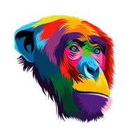 Abstract monkey chimpanzee head portrait from multicolored paints. Colored drawing. Vector illustration of paints