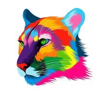 Abstract puma, cougar head portrait from multicolored paints. Colored drawing. Vector illustration of paints