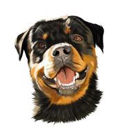 retrato de cabeza de rottweiler, raza de perro alemán de pinturas multicolores. dibujo coloreado. ilustración vectorial de pinturas vector