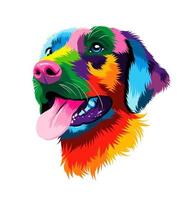 Abstract portrait of the head of a Labrador retriever from multicolored paints. Colored drawing. Puppy muzzle portrait, dog muzzle. Vector illustration of paints