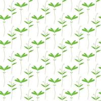 Vector pattern with greenery. Pattern with beet sprouts.