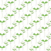 Vector pattern with greenery. Pattern with beet sprouts.