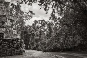 Ancient Mayan site with temple ruins pyramids artifacts Muyil Mexico. photo