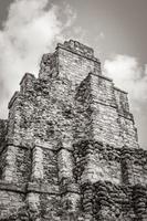 antiguo sitio maya con templo ruinas pirámides artefactos muyil mexico. foto