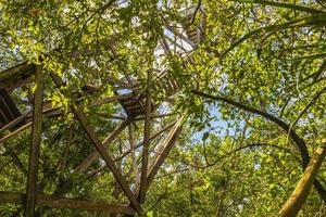 Wooden viewpoint tower tropical jungle to Muyil Lagoon panorama Mexico. photo