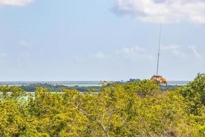 Muyil Lagoon panorama view in tropical jungle of amazing Mexico. photo