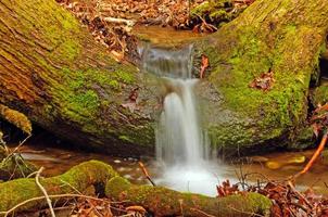 Small stream flowing over a tree trunk photo