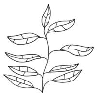 flor de dibujos animados de garabato de fantasía colorida, rama de árbol, planta aislada sobre fondo blanco. vector