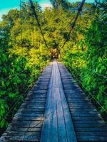 Suspended wooden bridge for walking across nature green jungle lake