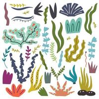 Set seaweed algae vector