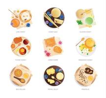 Honey Meals Compositions Set vector