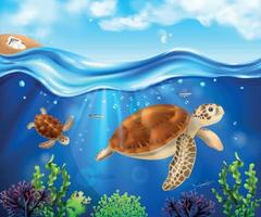 Turtle Life Cycle Background vector