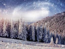 cielo estrellado en la noche de invierno cubierto de nieve. fantástica vía láctea en la víspera de año nuevo. cortesía de la nasa. en previsión de las vacaciones. escena dramática. cárpato Ucrania foto