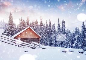 Cozy wooden hut high in the snowy mountains. Great pine trees on the background. Abandoned kolyba shepherd. Cloudy day. Carpathian mountains, it is snowing. Ukraine, Europe photo