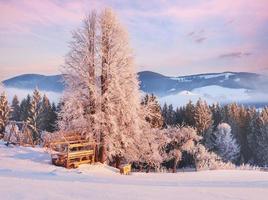 Amazing mountains in the morning sunlight. Small cozy village. Carpathian, Ukraine, Europe. Beauty world. Happy New Year photo