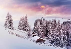 Cozy wooden hut high in the snowy mountains. Great pine trees on the background. Abandoned kolyba shepherd. Cloudy day. Carpathian mountains, it is snowing. Ukraine, Europe photo