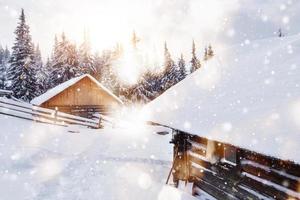 Cozy wooden hut high in the snowy mountains. Great pine trees on the background. Abandoned kolyba shepherd. Cloudy day. Carpathian mountains, it is snowing. Bokeh light effect, soft filter photo