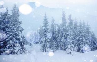 Mysterious winter landscape majestic mountains in winter. Magical winter snow covered tree. Photo greeting card. Bokeh light effect, soft filter. Carpathian. Ukraine. Europe