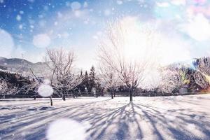 árboles de paisaje invernal y valla en escarcha, fondo con algunos reflejos suaves y copos de nieve. Feliz año nuevo foto