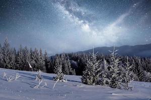 magical winter snow covered tree. Winter landscape. Vibrant night sky with stars and nebula and galaxy. Deep sky astrophoto.