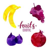 juego de frutas manchas de acuarela dibujadas y manchas con un plátano en aerosol, uvas, higo, granada. ilustración de frutas vectoriales de alimentos naturales ecológicos aislados sobre fondo blanco con letras vector