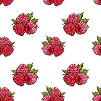 Marker Hand drawn isolated seamless pattern Raspberry on blue background banner. Sketched food vector background. Abstract colorful berry illustration. Design element for card, print,
