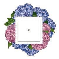 Label design template. Vector hand drawn illustration outline pink and blue Hydrangea on square frame on white background. Design card with space for text