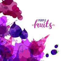 Fruit set drawn watercolor blots and stains with a spray blackberry, grapes, fig, dragon fruit. Isolated eco natural food vector fruits illustration on white background with lettering