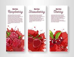 Set of organic eco berries vertical banners. Hand drawn illustration in sketch style. Cherry, strawberry and raspberry on colorful splashes on white background with free place for your text. vector