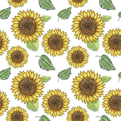Sunflower vector seamless pattern with green leaves, imitating ink and watercolor on white background. Hand-drawn flower heads. Natural themed wallpaper, wrapping, packaging paper,birthday card design