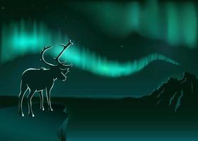 A deer stands on the edge of a cliff and looks at the northern lights