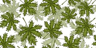 Leaf seamless pattern on white background. Retro tropical plants in engraving style. vector